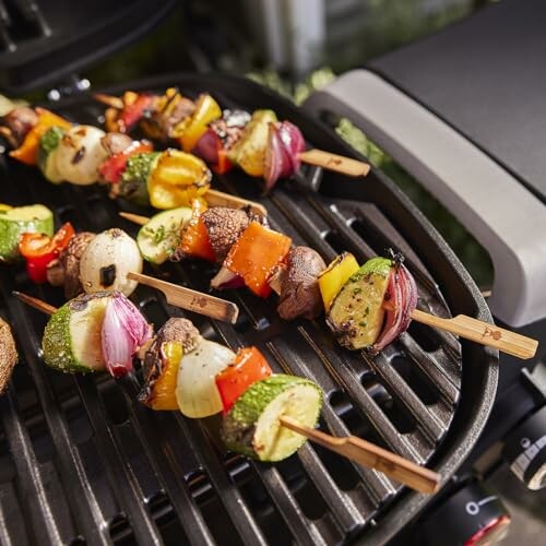 Weber Q 2800N+ Grill