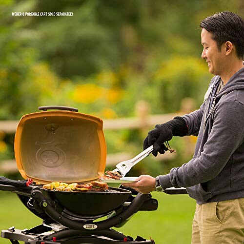 Weber Q1200 Portable Gas Grill