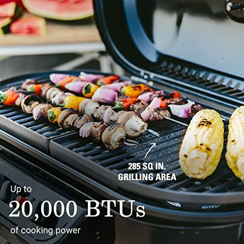 Portable gas grill with skewers and corn, 285 sq in grilling area, 20,000 BTUs.